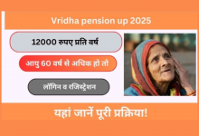 Vridha Pension