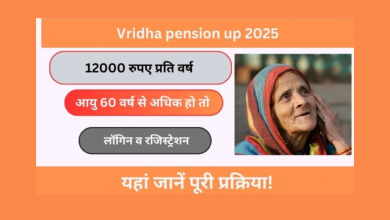 Vridha Pension