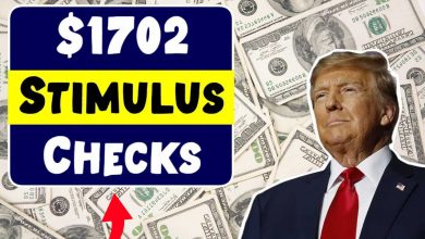 $1702 Stimulus Checks 2025