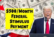 $500/Month Federal Stimulus Checks 2025