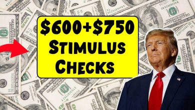 $600+$750 Stimulus Checks 2025